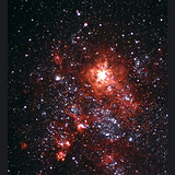 Tarantelnebel im Dorado