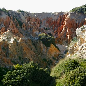 8070 Praia de Marinha (1)