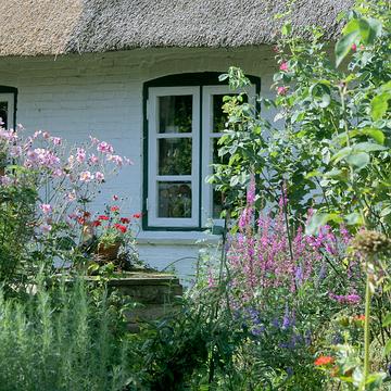 1 Ein Bauerngarten in der Schlei-Region