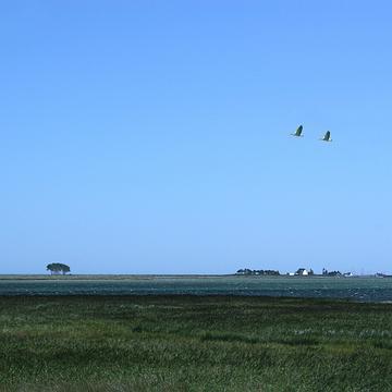 2 Angeln - das Land nördlich der Schlei