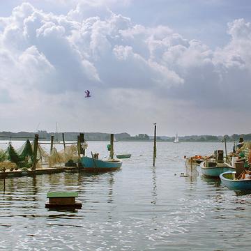 IMG 3630 Schleswig Holm