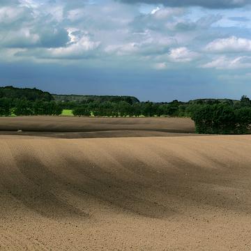 IMG 3726 bei Taarstedt