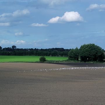 IMG 3728 bei Taarstedt