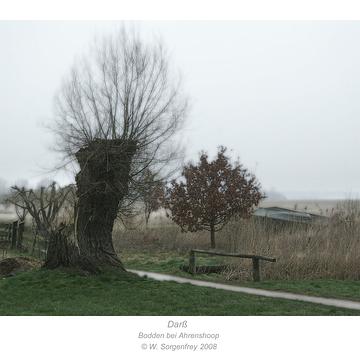 Bodden bei Ahrenshoop