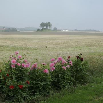 Bornholm 2010