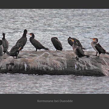 Bornholm 2015 kreuz und quer