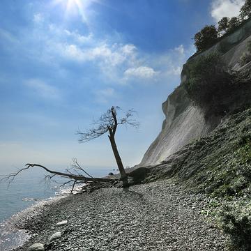 8868 Möns Klint