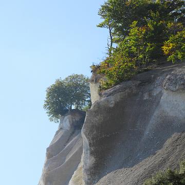 8871 Möns Klint