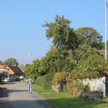 8555 Im Dorf