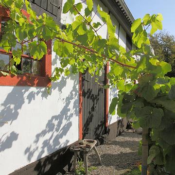 5351 Weingut in Alstrup