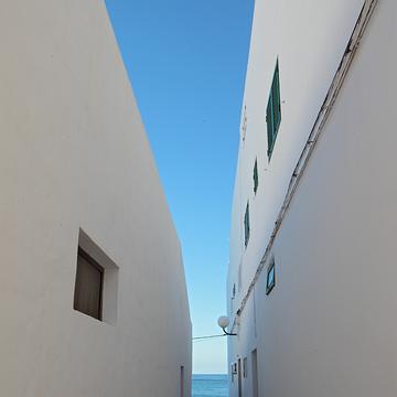 IMG 0195