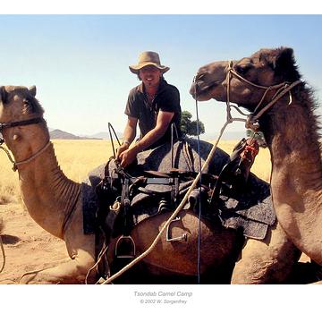 Kamel-Camp in Namibia